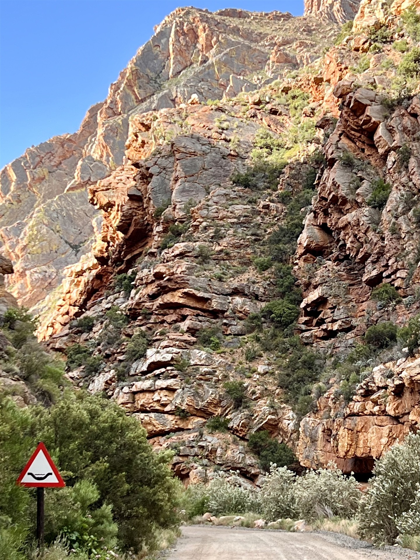 IMG_3093